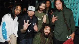 P.O.D. - Roots in Stereo (Live)
