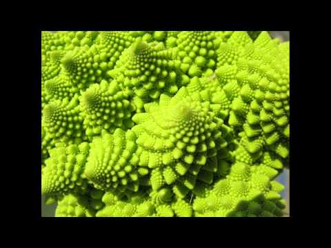 NEN400 - The Equilibrium