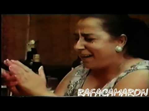 LA PERLA DE CADIZ POR BULERIAS SONIDO REMASTERIZADO