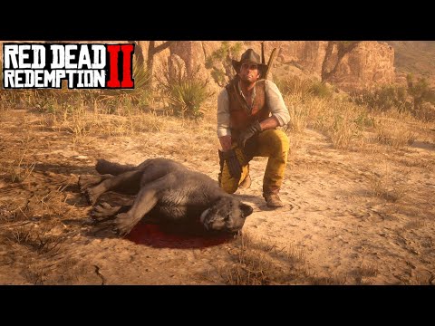 Der legendäre Puma (mit Bogen) ► Red Dead Redemption II