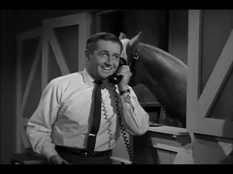 Mister Ed S01E05 Stable for Three