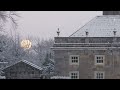 you’re studying in an ancient university as the snowflakes fall ( dark academia playlist )