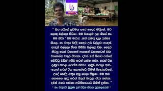 Download lagu නැති උනා වගේ සිය ගුණයක් ලැබෙන්න ඕනෙ ඒ අහිංසකයෝ බේරගත්තට ❤️🙏 #wadan mp3 Download lagu නැති උනා වගේ සිය ගුණයක් ලැබෙන්න ඕනෙ ඒ අහිංසකයෝ බේරගත්තට ❤️🙏 #wadan mp3