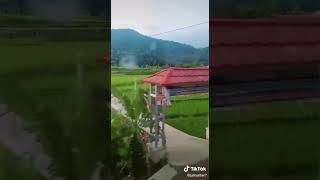 Download lagu Story wa lagu sunda mp3