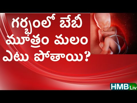 గర్భంలో శిశువు విసర్జించే మలం, మూత్రం ఎటు వెళ్తుంది? - pregnancy & child care channel