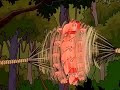 The Wild Thornberrys Smashing Good Times With Nigel Thornberry Edit