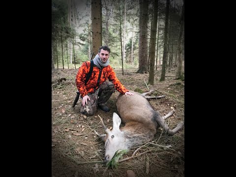 Spießer liegt! Phasen einer Drückjagd Teil 2