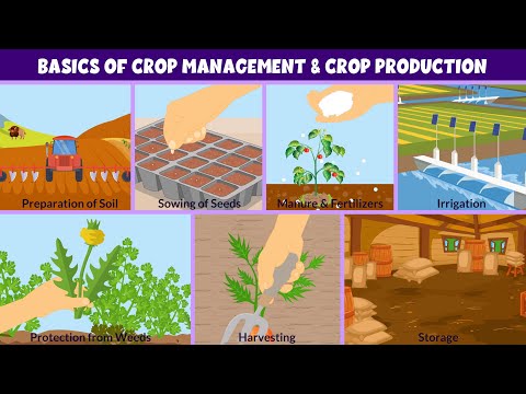 Basics of Crop Management and Production - Learning Junction