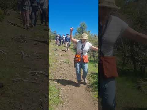 BLOOPER en MICOSENDA de #turismo y #ciencia en SIERRA COLORADA || #trevelin #chubut #blooper #memes