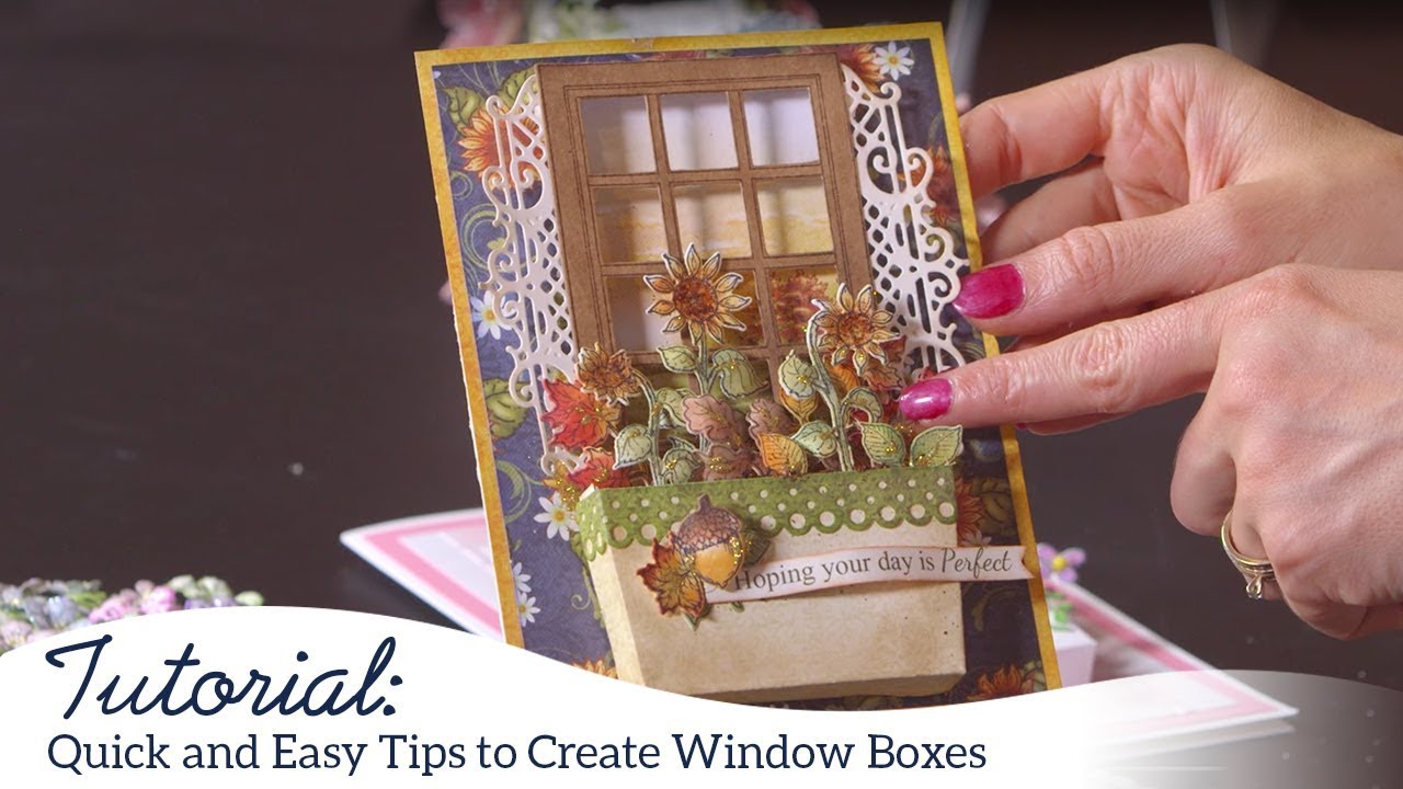 Quick and Easy Tips to Create Window Boxes