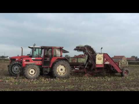 Landb. Wallyn - Merkem - Gilles Riecam R-126 - Same Explorer 80 - Same Antares 110