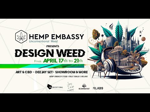 Serendipity @ Design Weed 2024 - Hemp Embassy