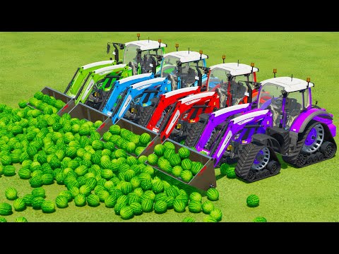 LOAD & TRANSPORT WATERMELONE WITH FENDT TRACTORS - Farming Simulator 22