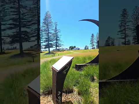 Port Macquarie #viralvideo #viralshort #trending #foryou #sclupture #beach