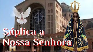 [Atualizado] Súplica a nossa senhora. Neste vídeo uma pausa para fazer sua súplica a nossa senhora.