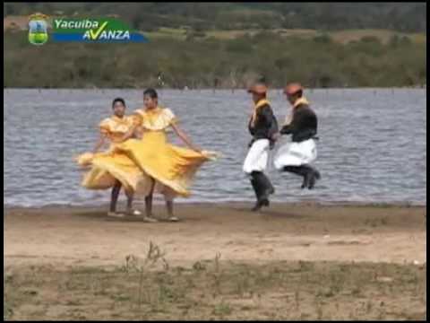 Canarios del Chaco "Gato" (ryga100979)