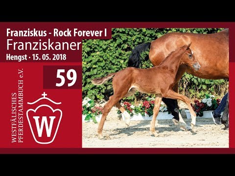 059 Franziskaner  HF v. Franziskus - Rock Forever