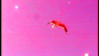 The Burbs - Ladder To The Moon video