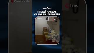 Midesi hassas olanlar izlemesin! Gökçeada'daki işletmenin mutfağı mide bulandırd