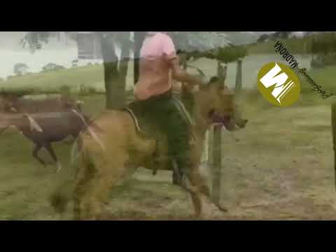 Elisa Guerrero y Dionicio Garrido, Contrapunteo