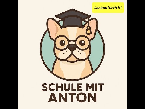 3. Klasse, Tiere im Winter 1