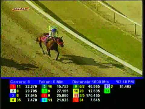 Resumen Domingo, 07 de Diciembre de 2014 - La Rinconada