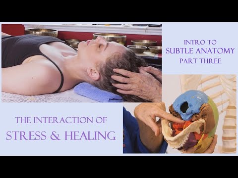 Pain Relief, Healing & the Stress Response | Intro to Subtle Anatomy Part 3