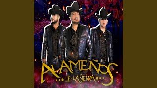 El Cajoncito (En Vivo) Lyrics English Translation