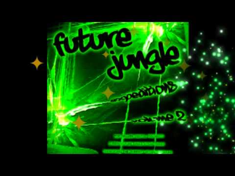 100Me : We Say Hey (Original Dubbed Mix) - Future Jungle Expeditions Vol 2