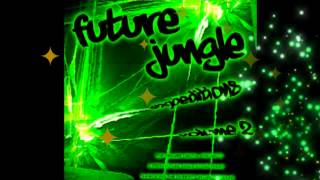 100Me : We Say Hey (Original Dubbed Mix) - Future Jungle Expeditions Vol 2
