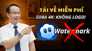 Cách Tải Video Sora 4K Không Logo Cực Đơn Giản - Miễn Phí 100%