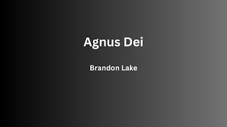 AGNUS DEI (LIVE) thumbnail