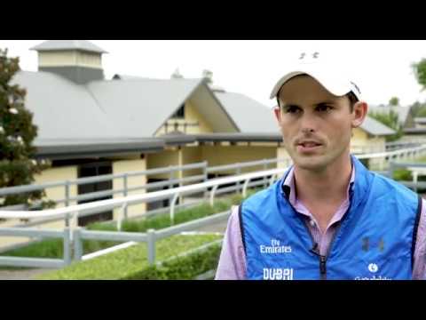 Kementari - The Star Doncaster Mile