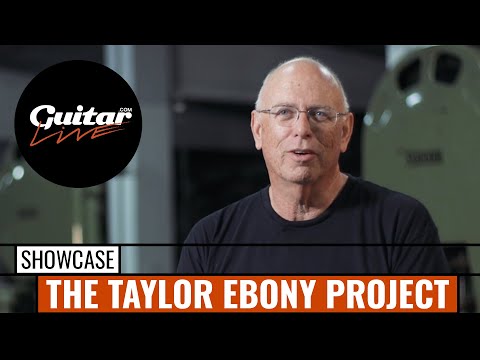 The Taylor Ebony Project – A revealing look at Taylor's fight for Ebony's future