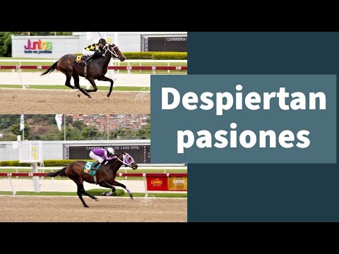 Tequila y Li Tre Fratteli ganaron el Andrés Bello y el Francisco de Miranda