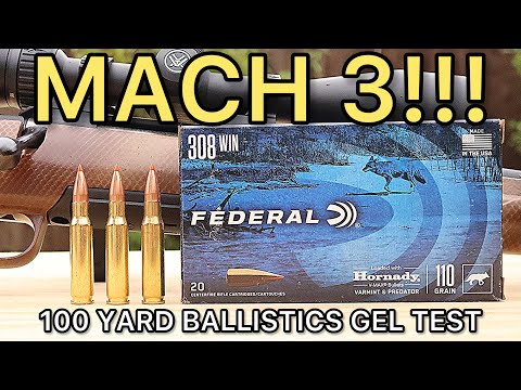 3,375 FPS?! 308 Winchester Federal Varmint Ballistics Gel Ammo Test
