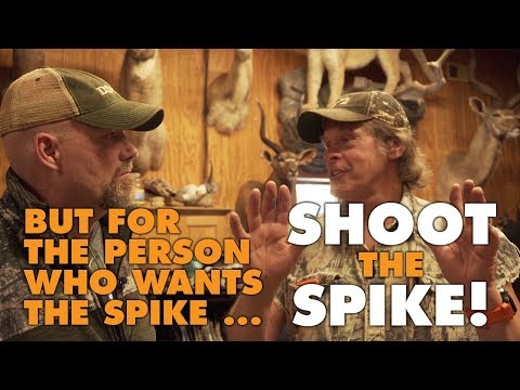 Why Did You Shoot That Buck?