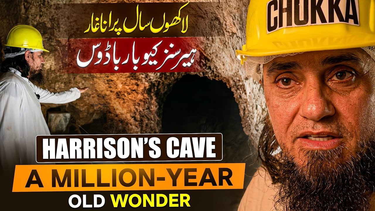 Harrison's Crave A Million-Year Old Wonder | Mufti Tariq Masood Speeches 🕋