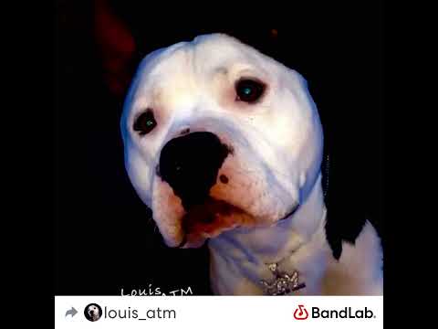 Louis ATM - Odd ft ATM Li Kane(Prod. SMEbeats)