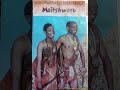 Mokorwana 2 Tshweu