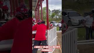 caballo blanco - Vicente Fernández