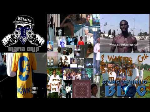 Mafia Crip Gangs of Los Angeles
