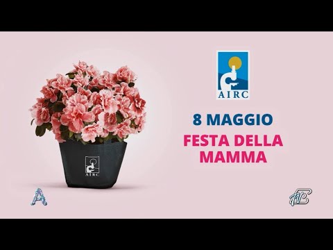 ANGOLI 6/5/2022: SON TUTTE FORTISSIME LE MAMME DELLO ZODIACO