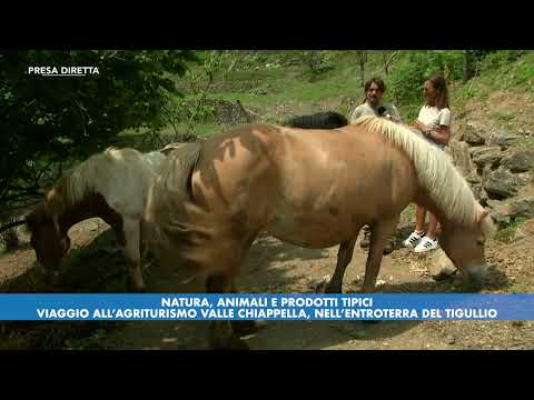 Video 27 aus  Agriturismo Valle Chiappella