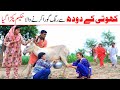 Milk Pack Ramzi Noori Bilo Bhootna Shoki Sanam Falak Sher Funny Video Rachnavi Tv