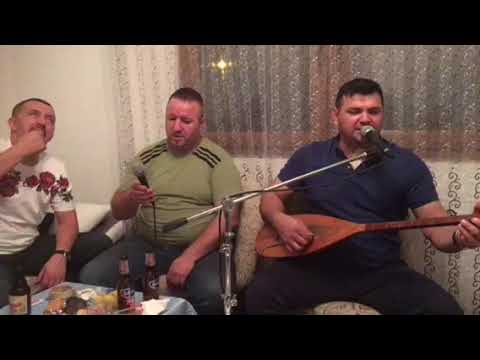 Suceske barabe - Konja kuje halile uživo 2018