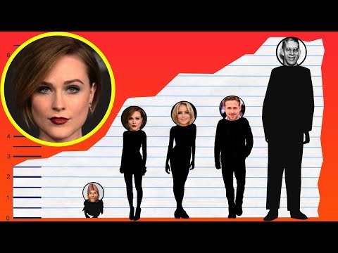 How Tall Is Evan Rachel Wood? - Height Comparison!