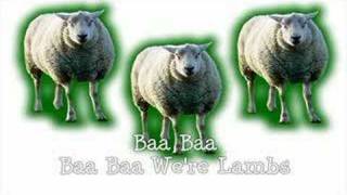 Baa We&#39;re Lambs