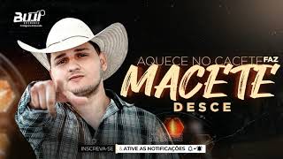 BIU DO PISEIRO - AQUECE NO CACETE FAZ MACETE DESCE [BujidoCavaco]