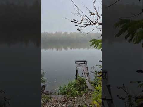 Смотреть видео